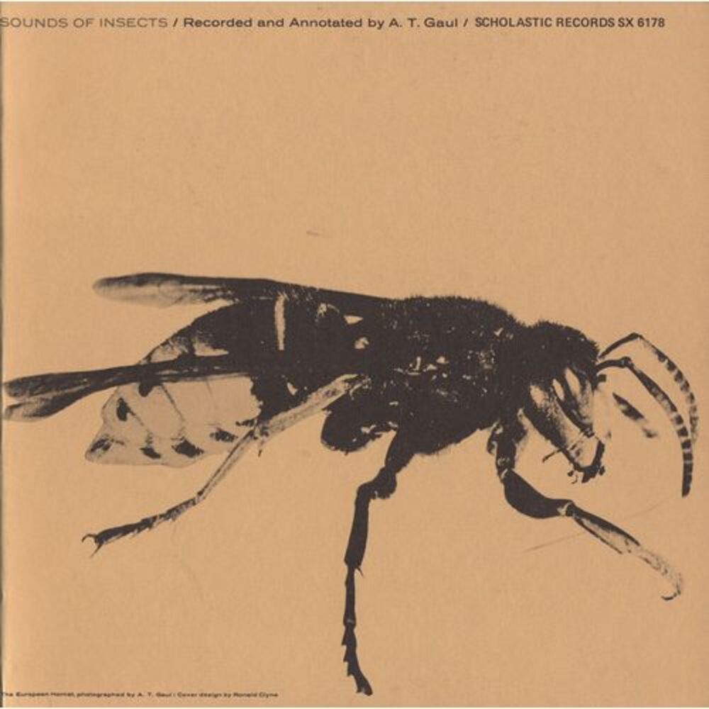 Various Artists - Sounds of Insects / Various  CD